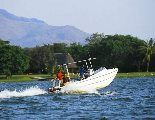 Boat Tours